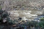 photo thumbnail #11