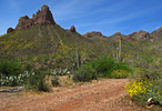 photo thumbnail #10