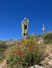 photo thumbnail #2