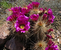 Featured Detail Photo
