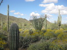 photo thumbnail #3