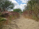 photo thumbnail #9