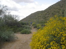 photo thumbnail #10