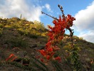 photo thumbnail #3