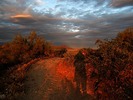 photo thumbnail #7