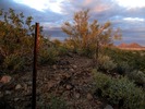 photo thumbnail #8