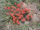 photo thumbnail #9