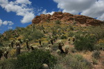 photo thumbnail #3