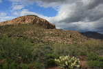 photo thumbnail #10