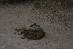 photo thumbnail #15