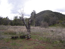 photo thumbnail #3