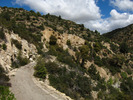 photo thumbnail #5