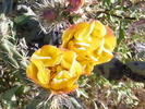photo thumbnail #4