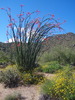 photo thumbnail #6