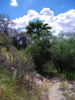 photo thumbnail #14