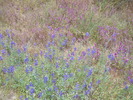 photo thumbnail #15