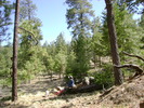 photo thumbnail #1