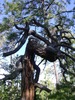 photo thumbnail #9