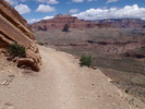 photo thumbnail #11