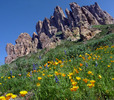 photo thumbnail #15