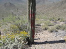 photo thumbnail #10