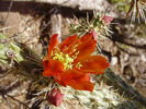 photo thumbnail #7