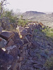photo thumbnail #12