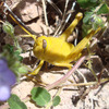 photo thumbnail #12