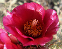 photo thumbnail #14