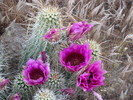 photo thumbnail #2