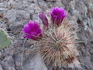 photo thumbnail #15