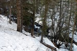 photo thumbnail #8