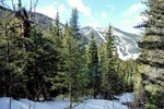 photo thumbnail #12