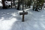 photo thumbnail #14