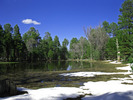photo thumbnail #13