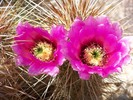 photo thumbnail #13