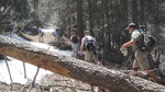 photo thumbnail #6