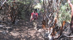 photo thumbnail #14