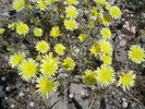 photo thumbnail #15
