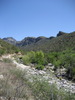 photo thumbnail #1
