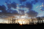 photo thumbnail #3