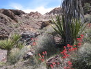 photo thumbnail #5