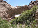 photo thumbnail #12
