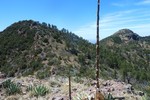 photo thumbnail #6