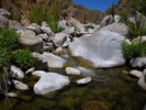 photo thumbnail #11