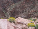 photo thumbnail #14