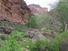 photo thumbnail #15