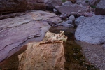 photo thumbnail #7