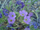 photo thumbnail #1