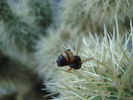 photo thumbnail #7